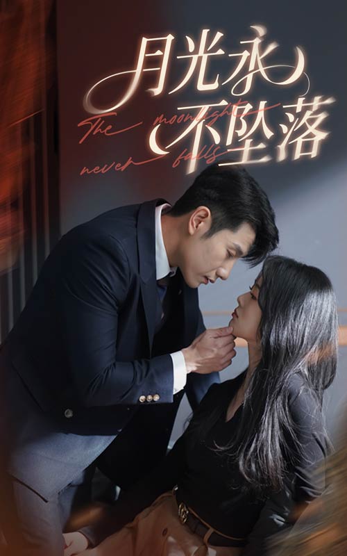 月光永不坠落封面图