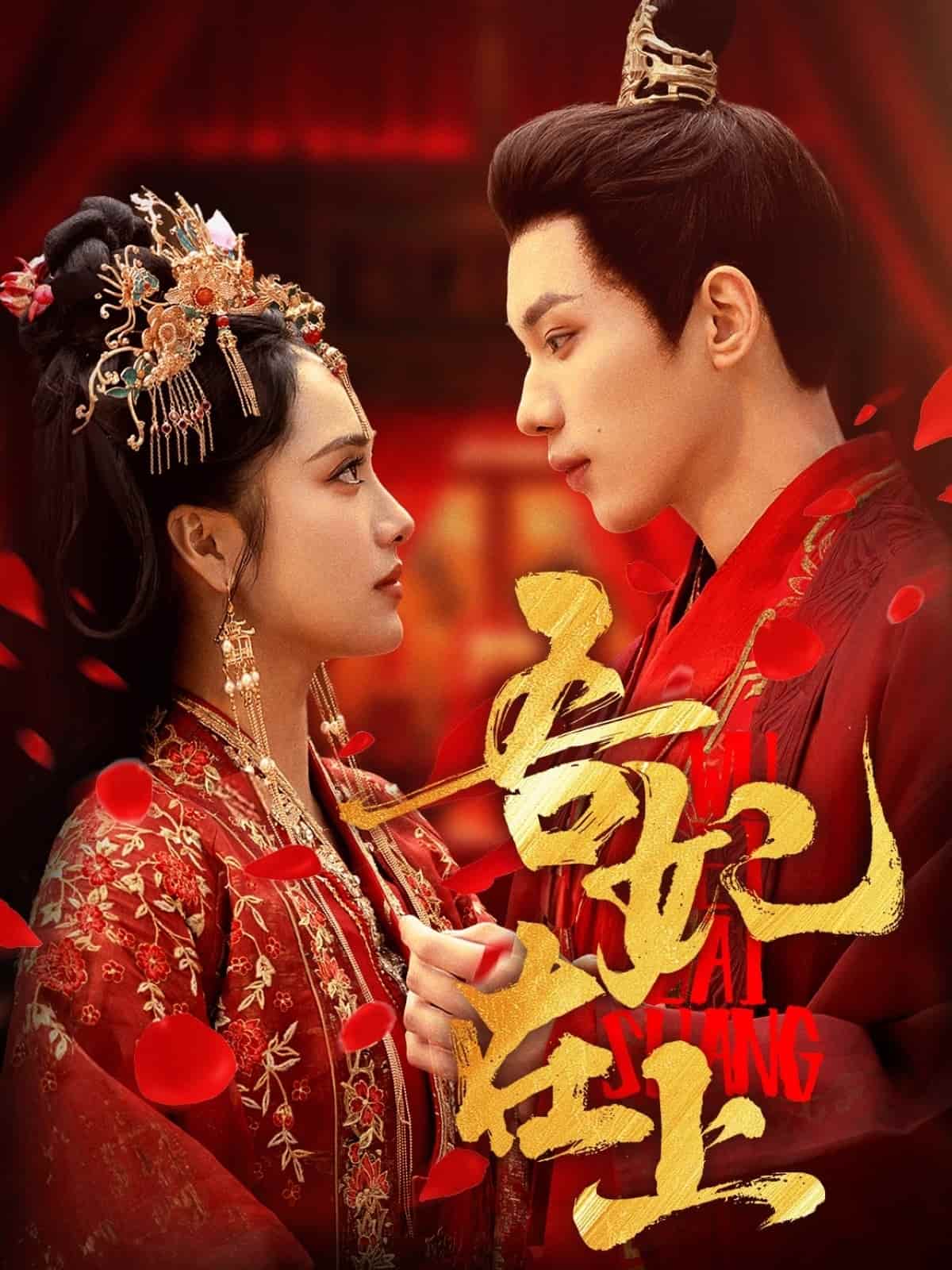 吾妃在上封面图