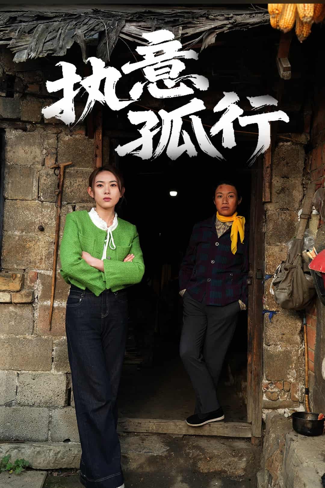 执意孤行封面图