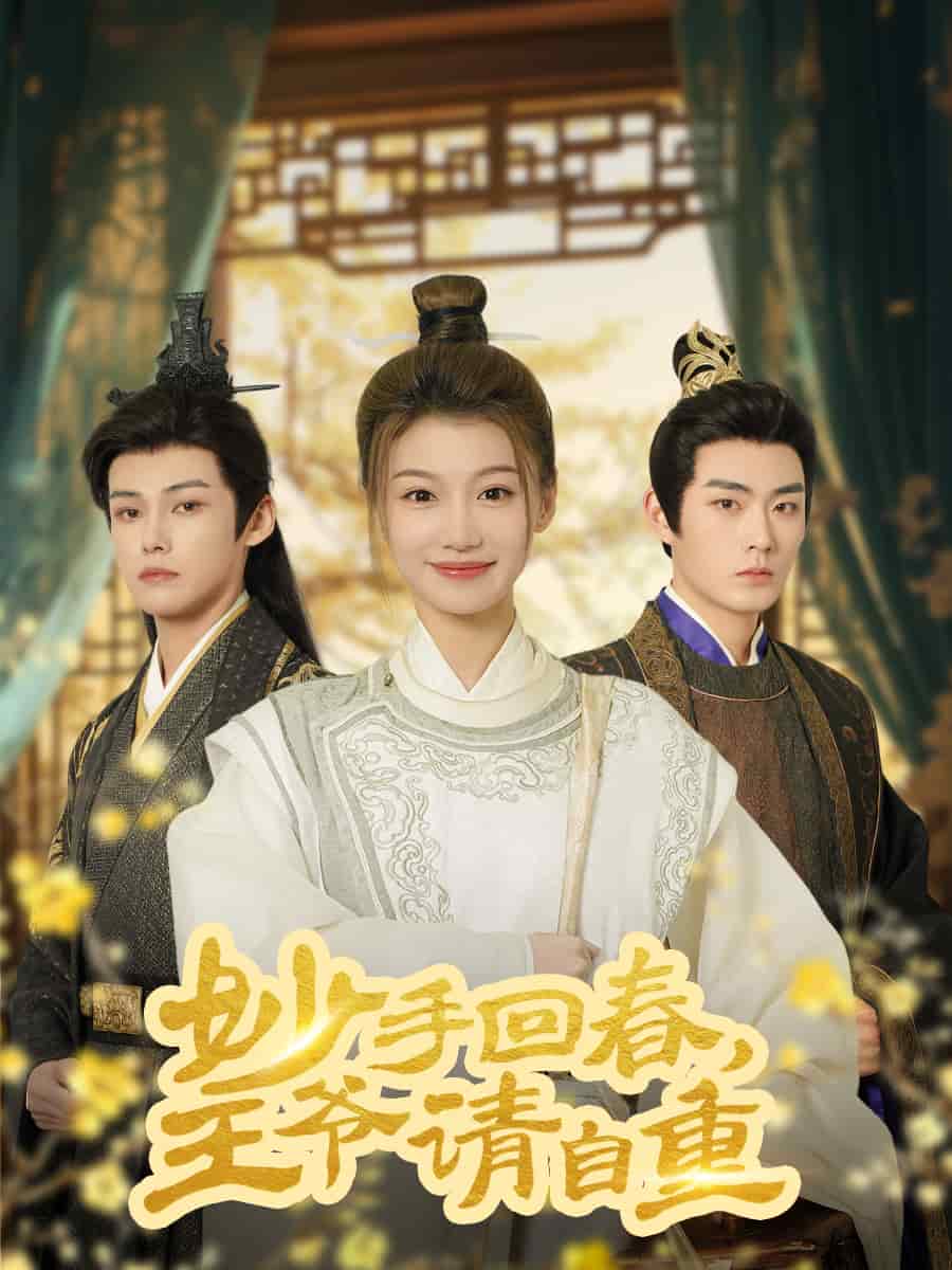 杏林误入凤雀台封面图