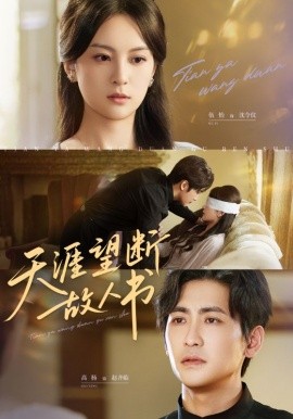 天涯望断故人书封面图