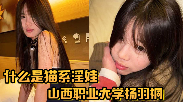 什么是猫系淫娃山西职业大学杨羽桐被曝光在发情期褪去高冷转变为淫娃封面图