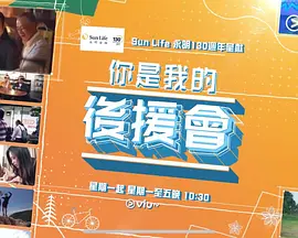 你是我的后援会封面图