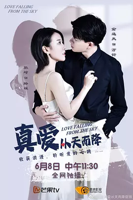 真爱从天而降第一季封面图