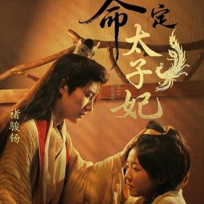 命定太子妃封面图