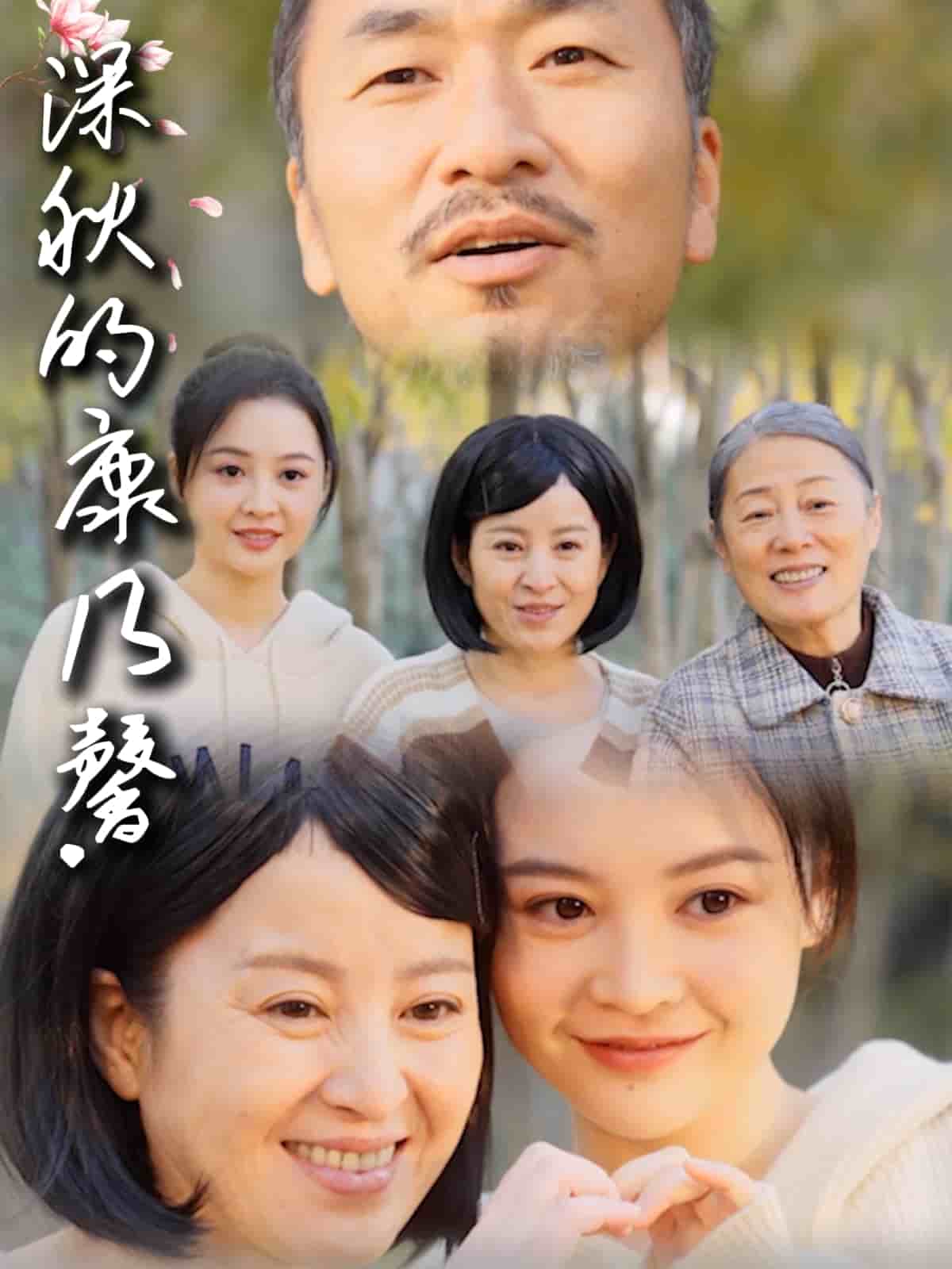 深秋的康乃馨封面图