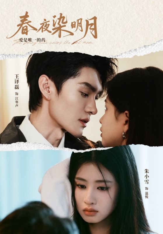 春夜染明月封面图