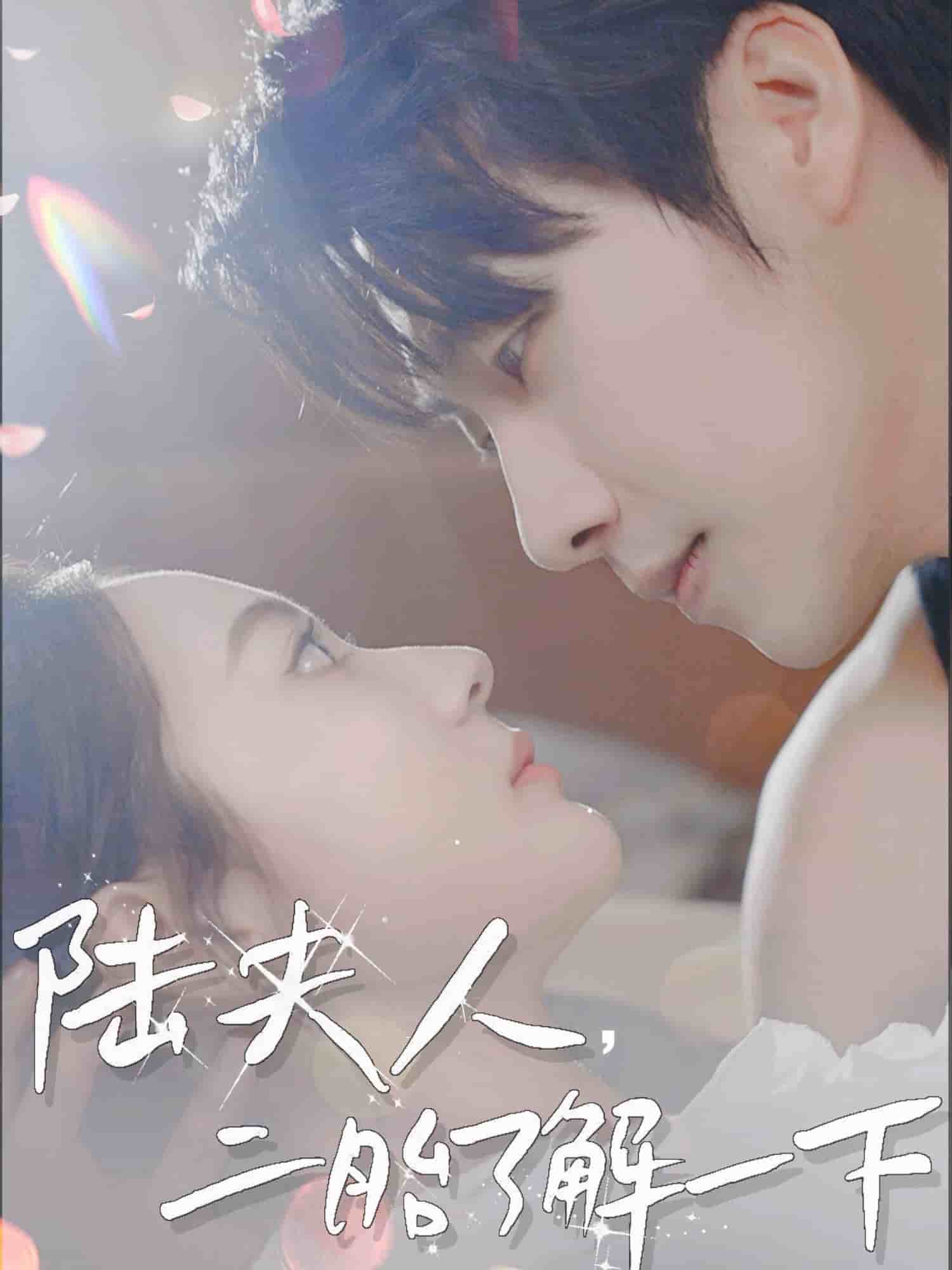 陆夫人，二胎了解一下封面图