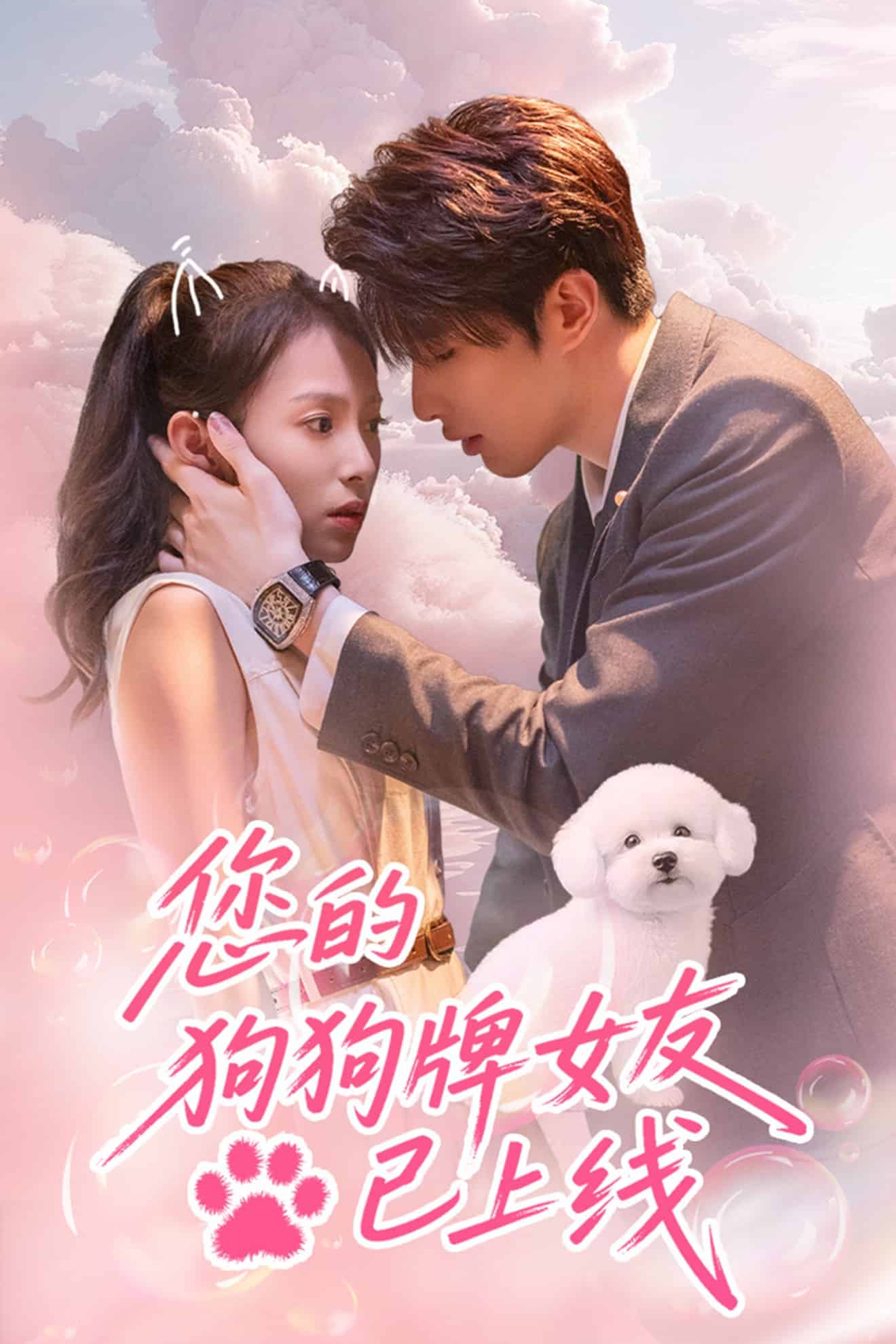 您的狗狗牌女友已上线封面图