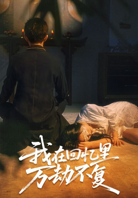 我在回忆里万劫不复封面图