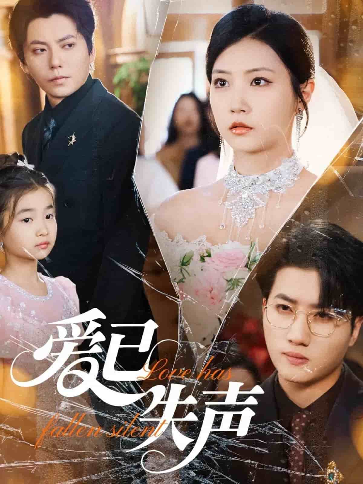 爱已失声封面图