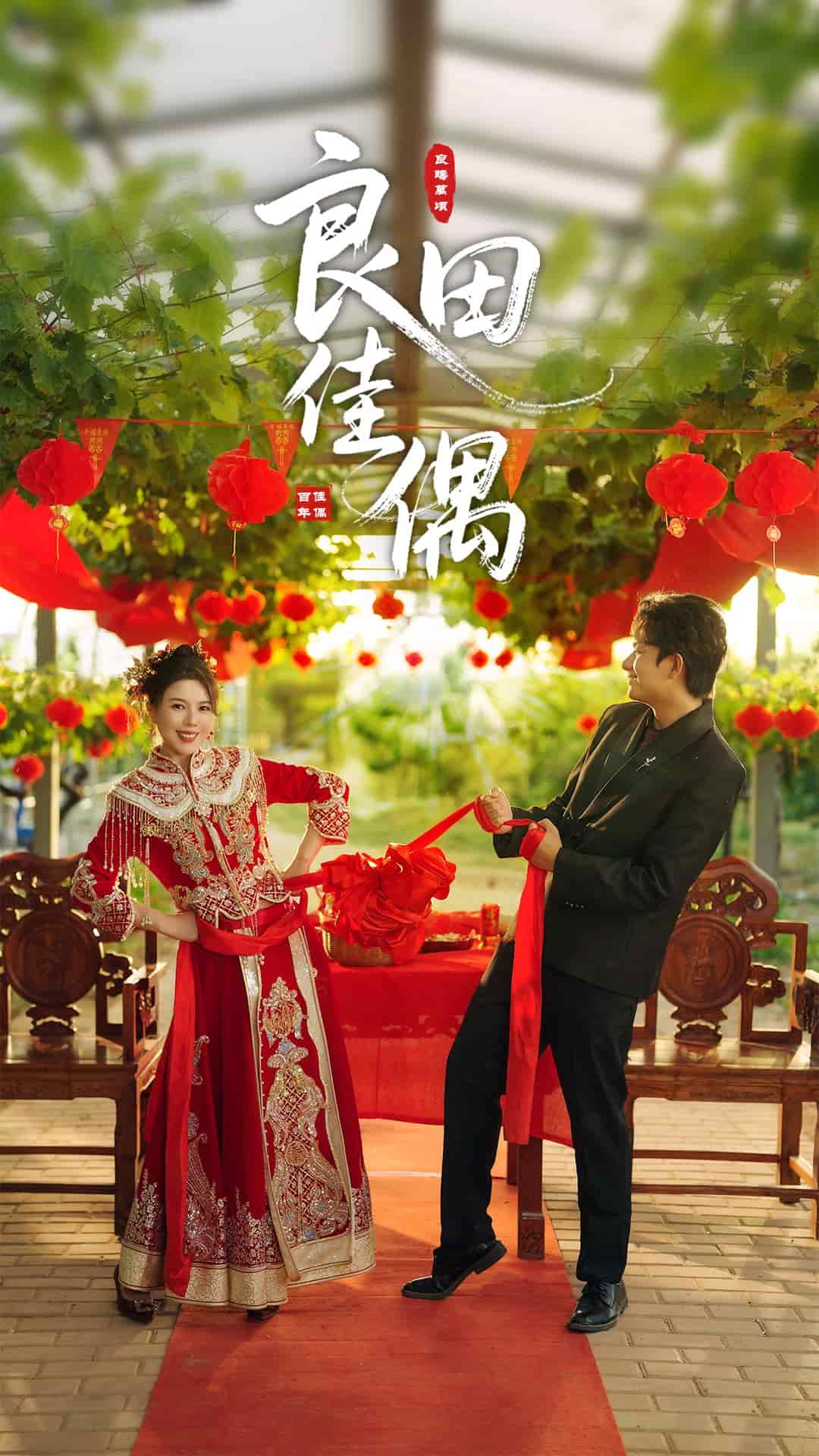 良田佳偶封面图