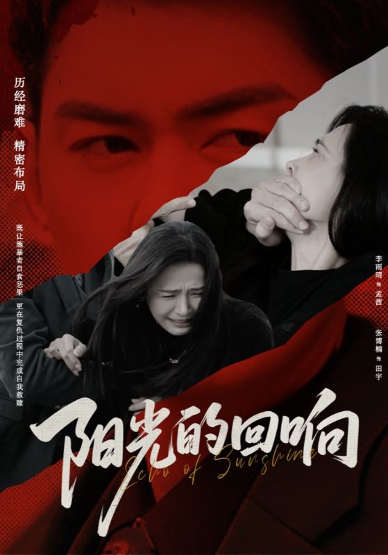 阳光的回响封面图