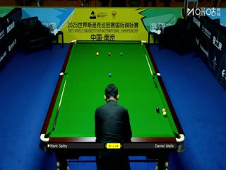 2025斯诺克国际锦标赛32进16 马克·塞尔比6-3丹尼尔·威尔斯 20251104封面图