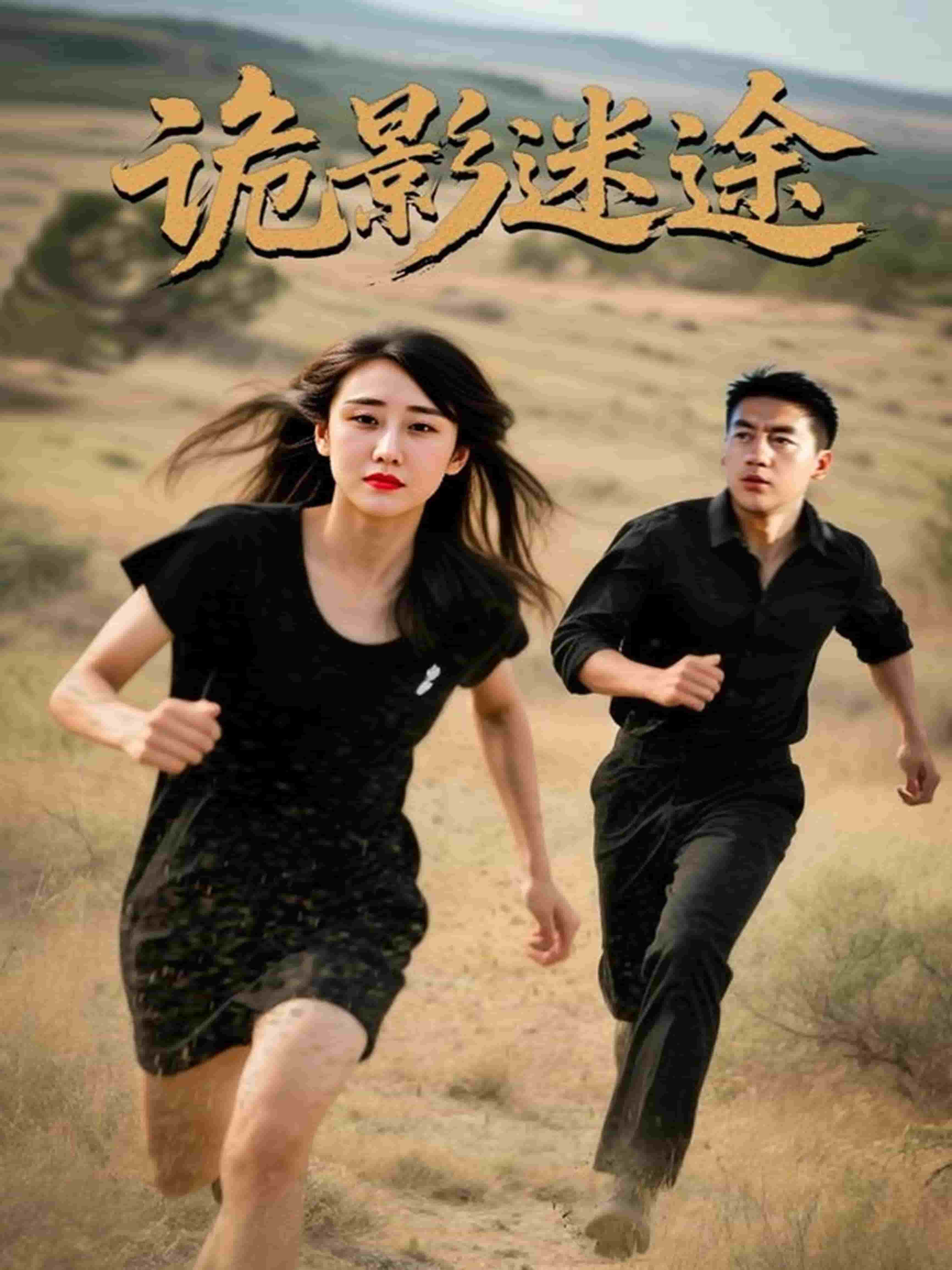 诡影迷途封面图