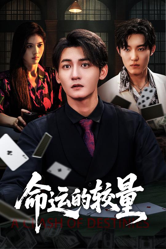 命运的较量封面图