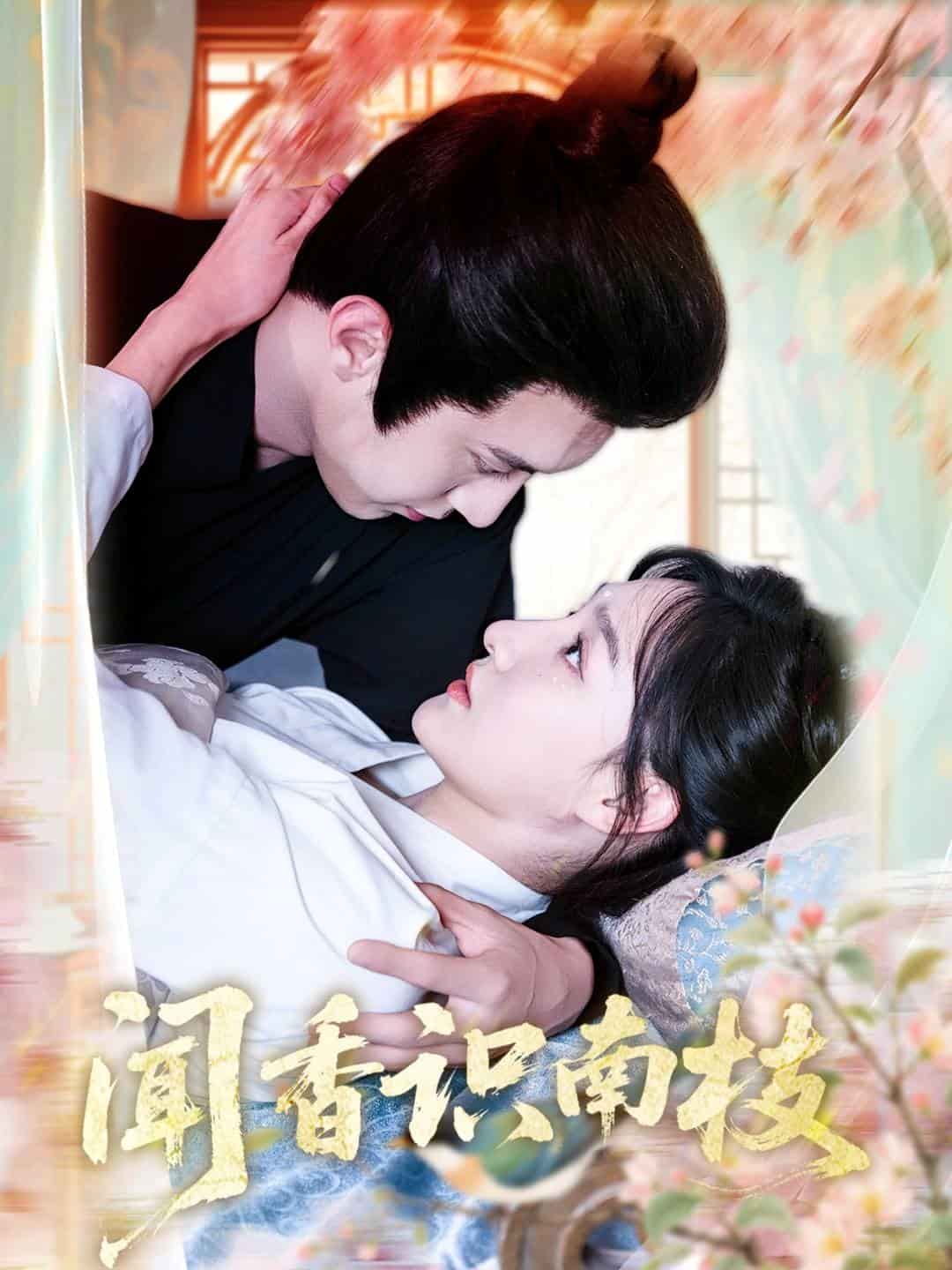 闻香识南枝封面图