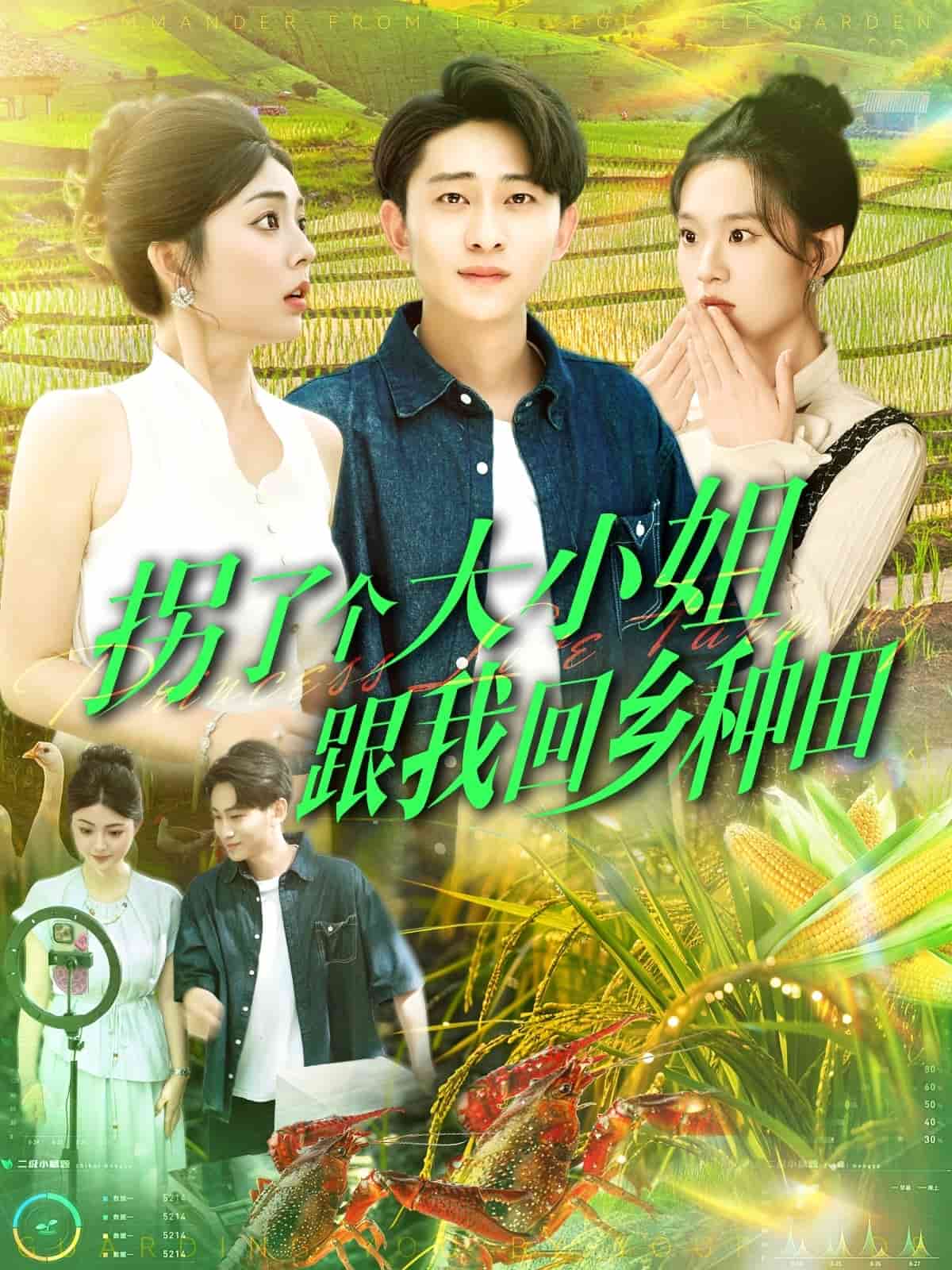 拐了个大小姐跟我回乡种田封面图