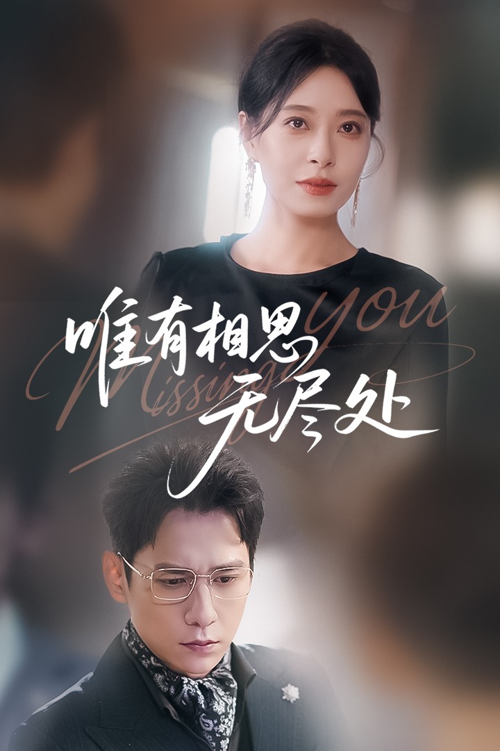 唯有相思无尽处封面图