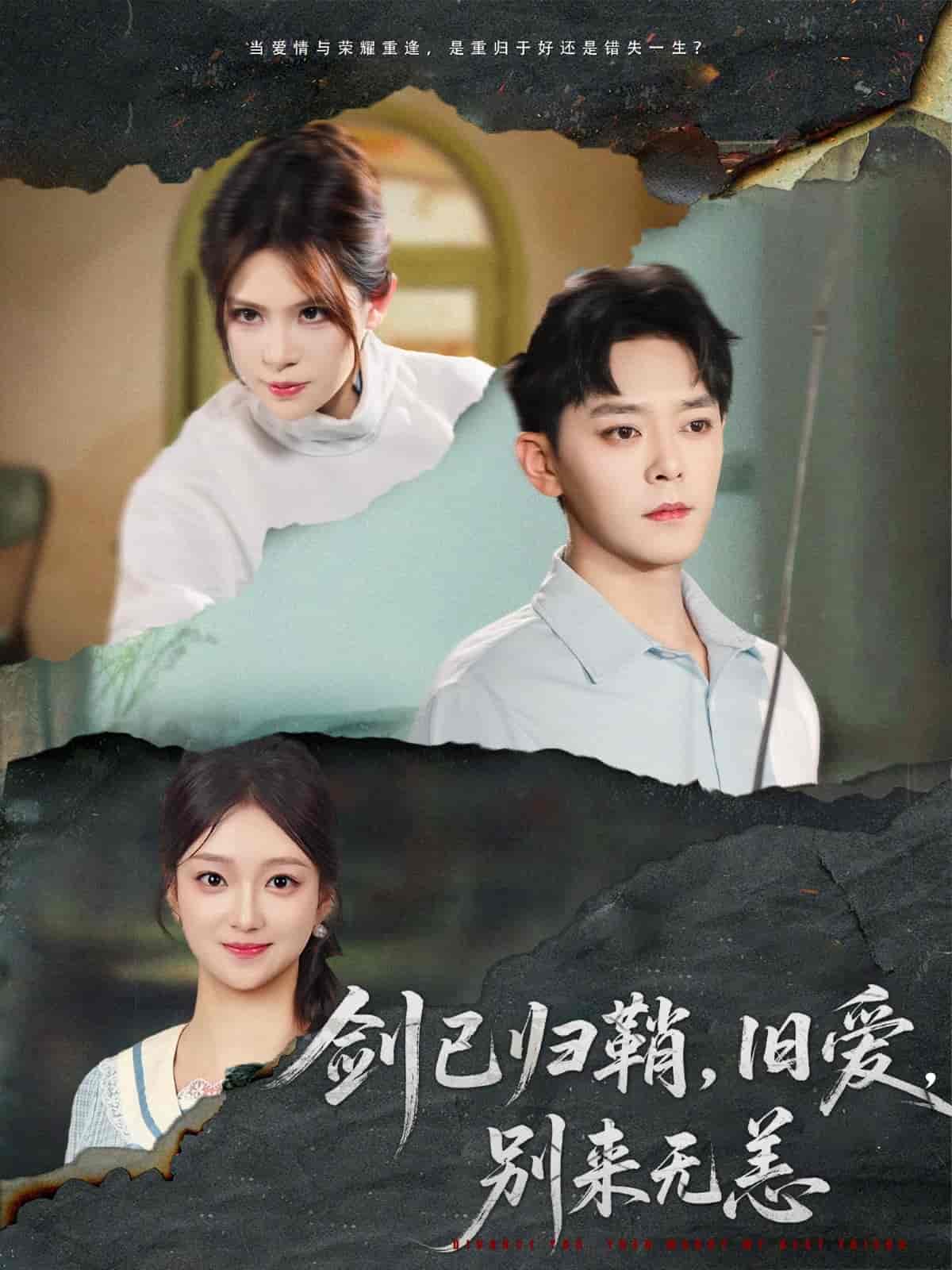 剑已归鞘旧爱别来无恙封面图