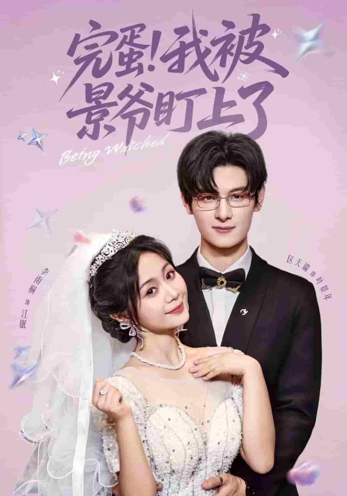 完蛋我被景爷盯上了封面图