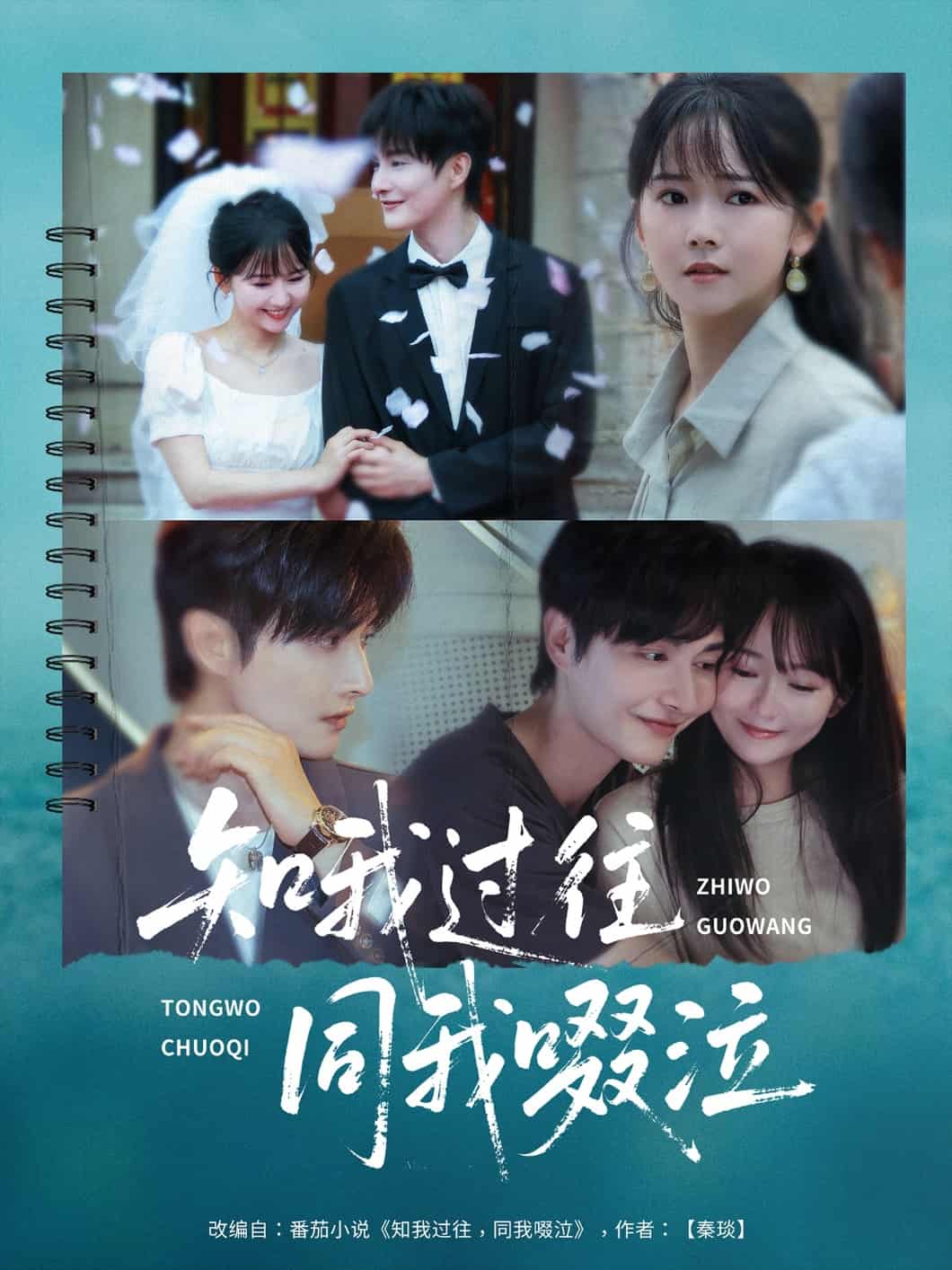 知我过往同我啜泣封面图