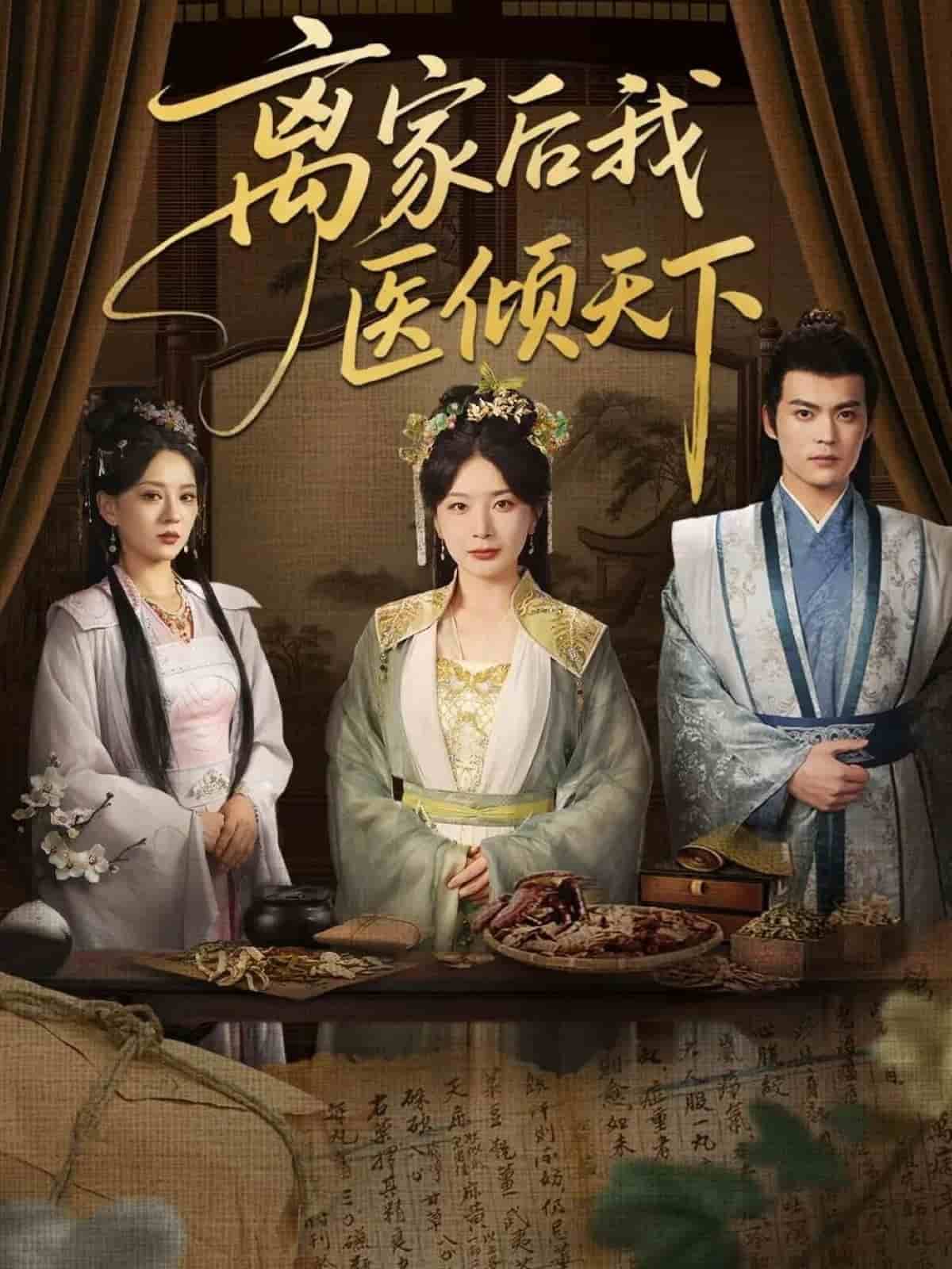 离家后我医倾天下封面图