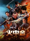 火中金封面图