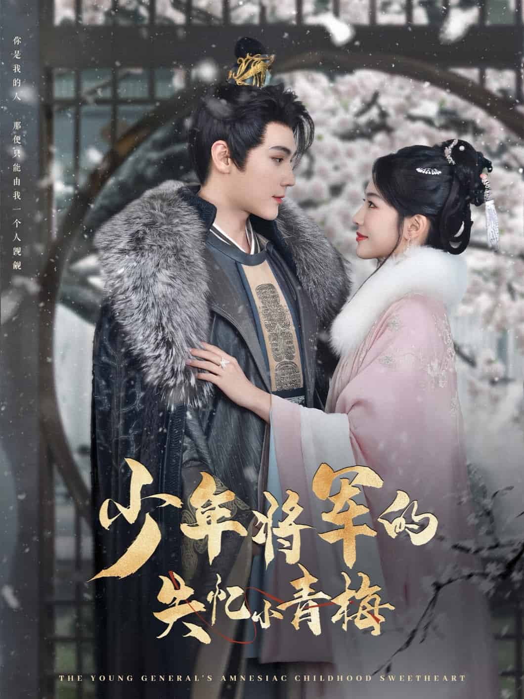 少年将军的失忆小青梅封面图