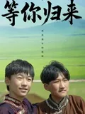 等你归来2025封面图