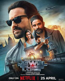 珠宝大盗：神偷出马封面图