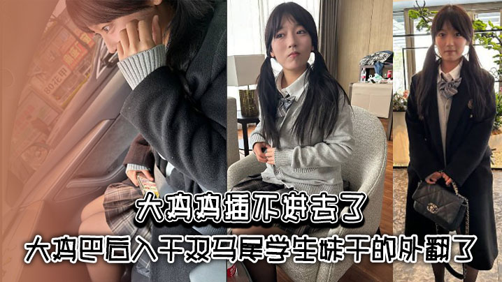 大鸡鸡插不进去了_大鸡巴后入干双马尾学生妹干的外翻了封面图