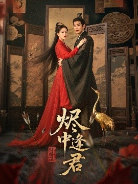 烬中逢君封面图