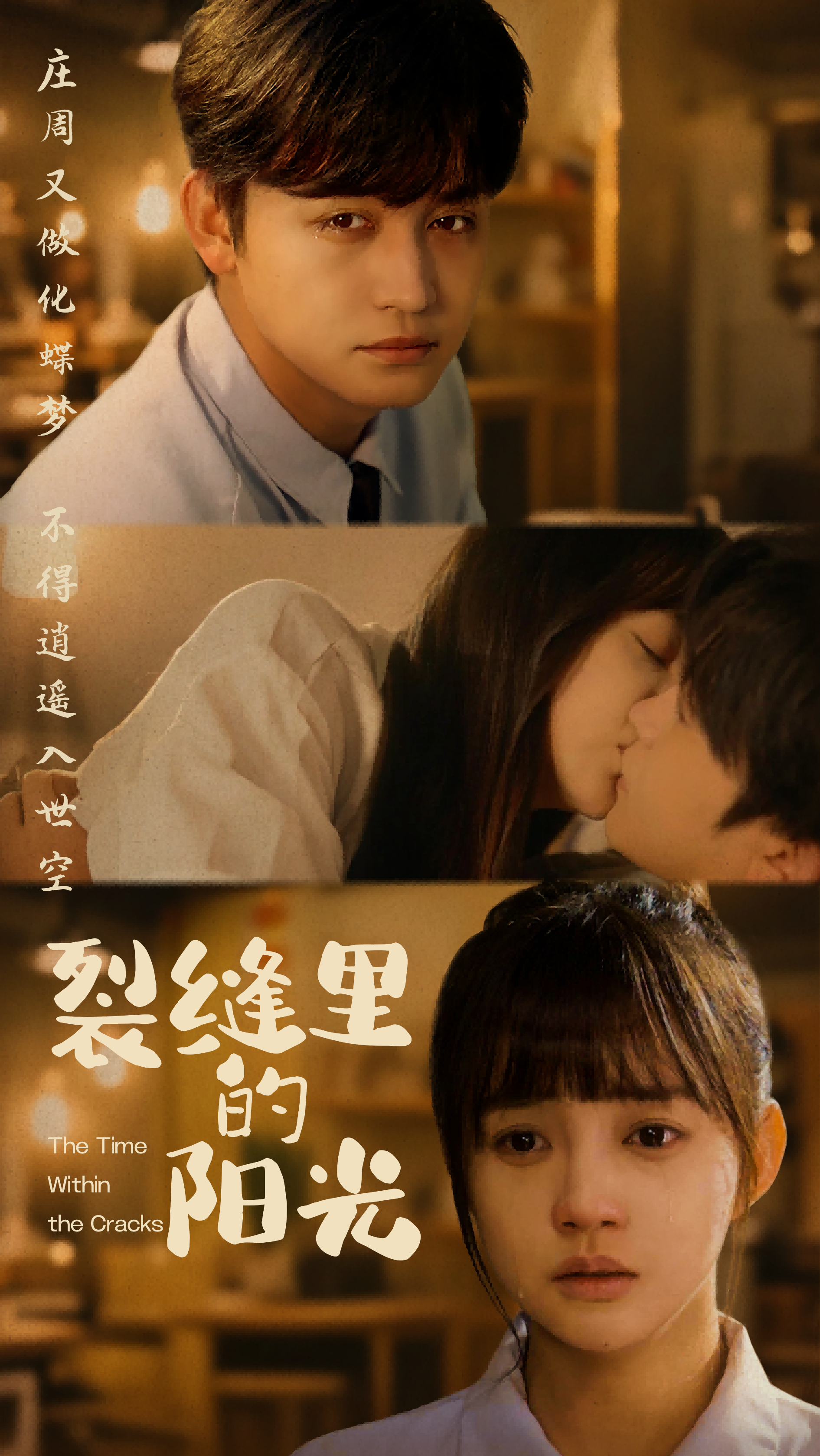 裂缝里的阳光封面图