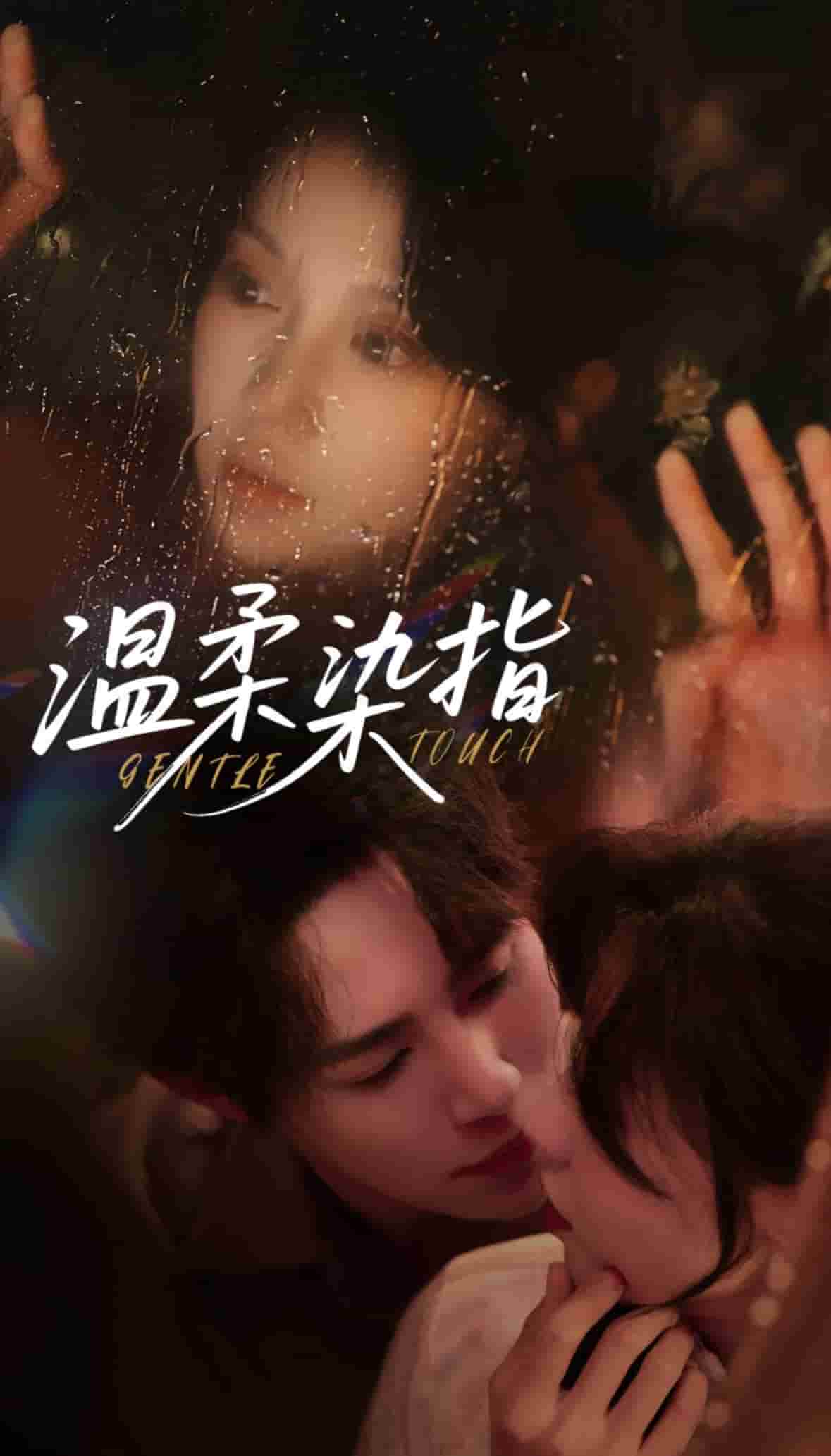 温柔染指封面图