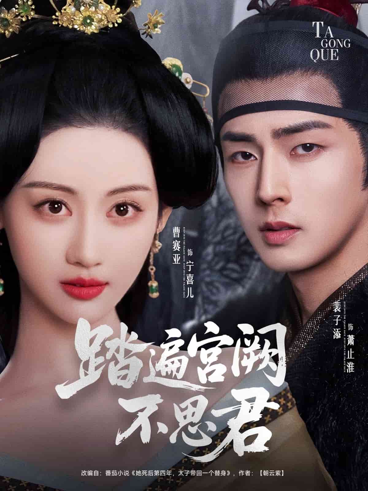 踏遍宫阙不思君封面图