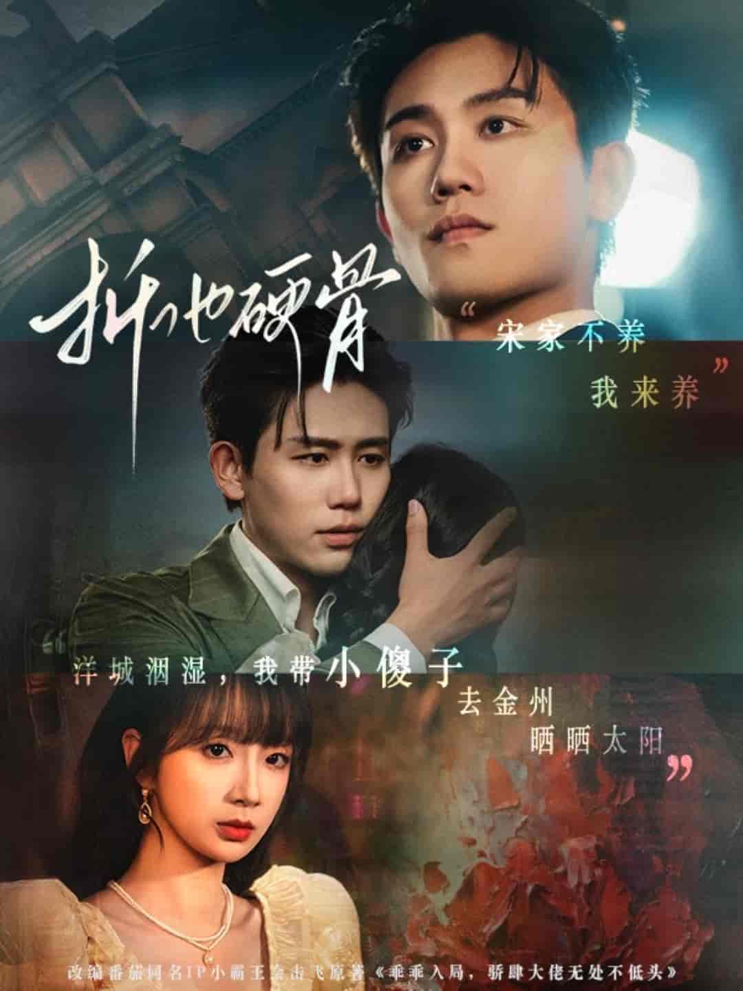 折他硬骨封面图