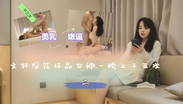 一晚干三次高质量极品女神--文轩探花封面图
