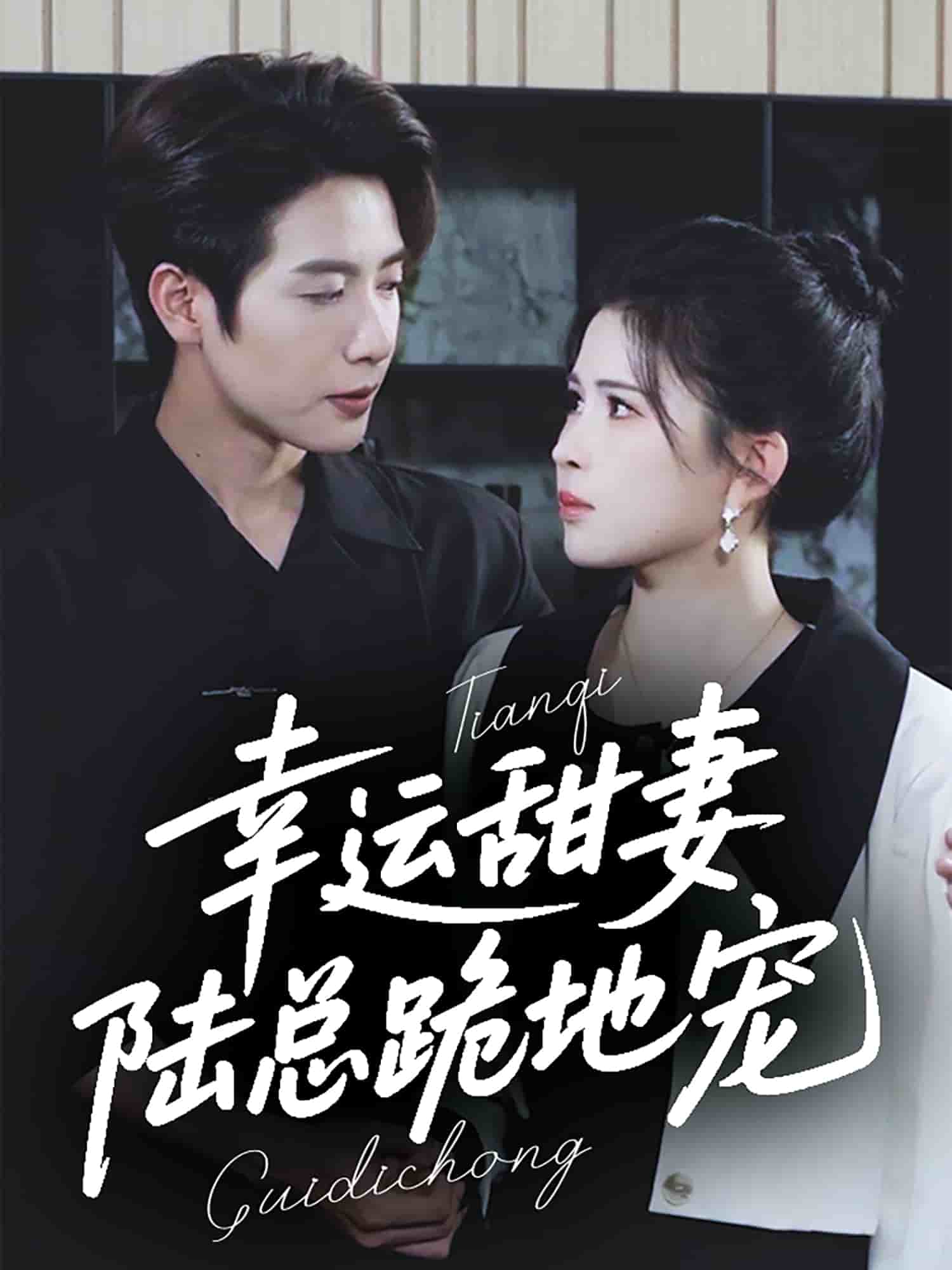 幸运甜妻，陆总跪地宠封面图