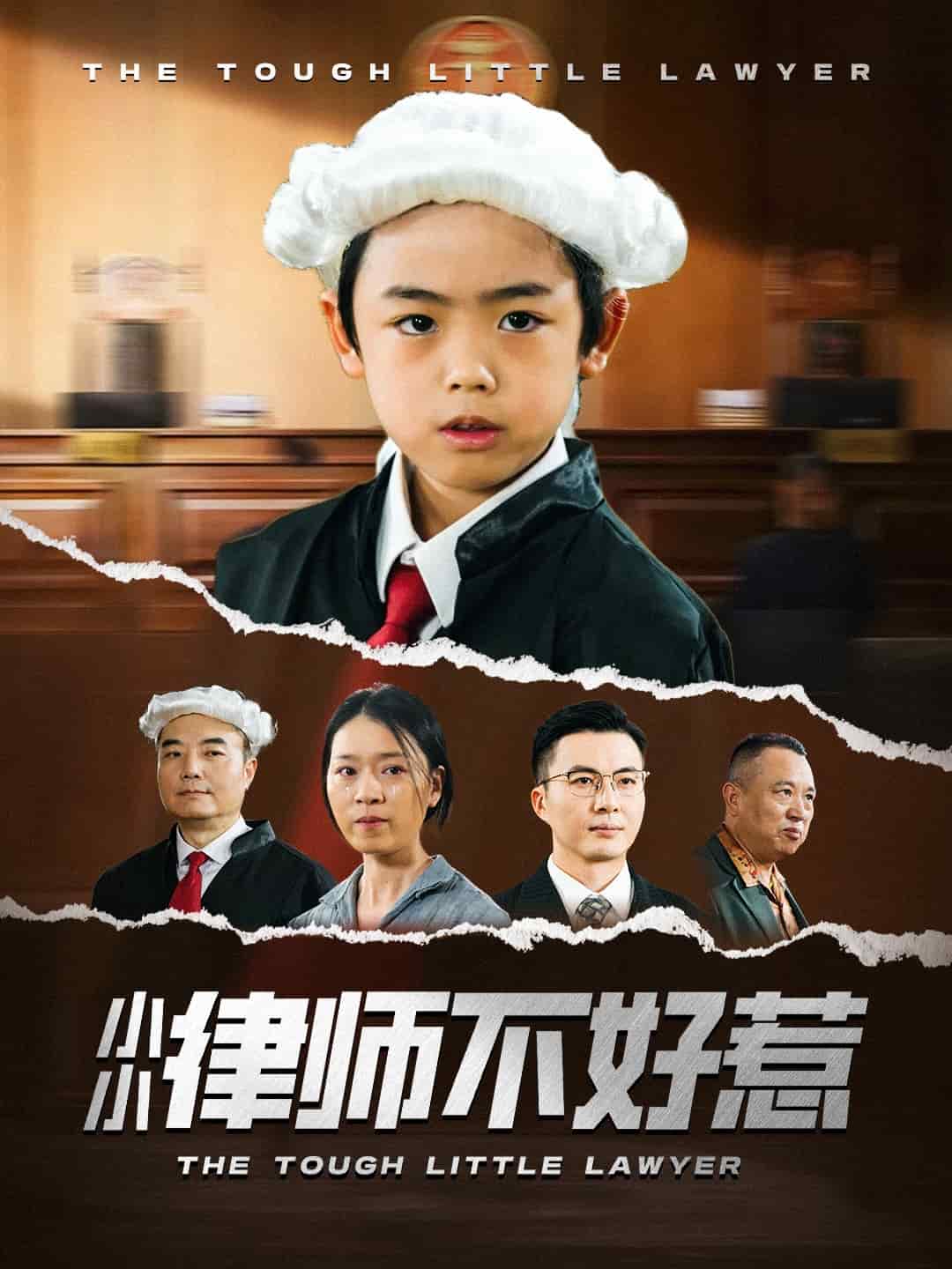 小小律师不好惹封面图