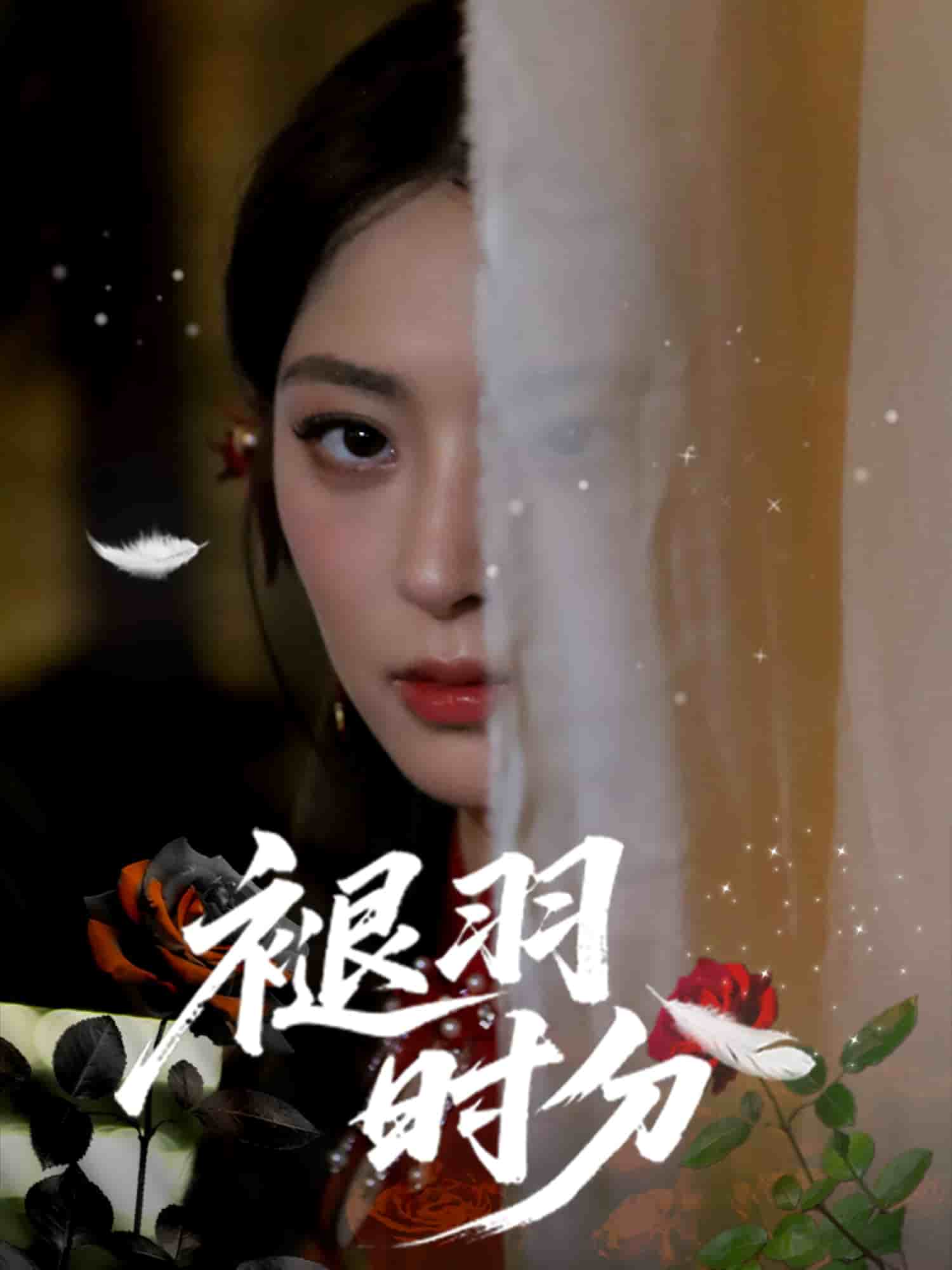 褪羽时分封面图